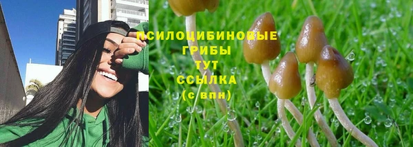 тгк Иннополис
