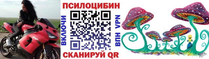 Купить где  Егорьевск  Псилоцибиновые грибы Cubensis 